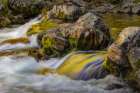 Spring foliage colors and sky reflecting on ripples on stream, Great Smoky Mountains NP, Tennessee Art Print